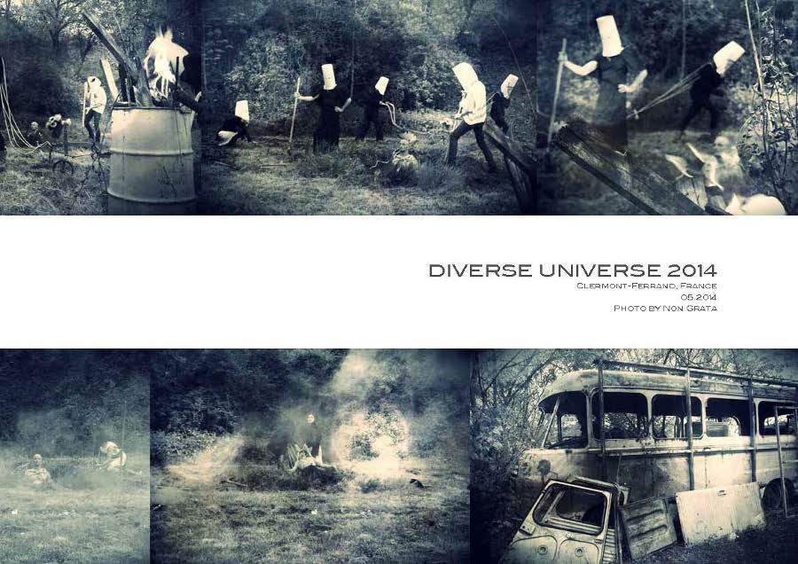 Diverse Universe 2014 performance